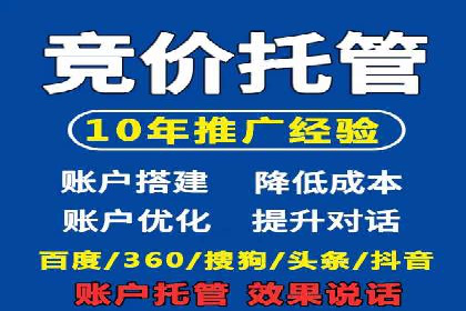 SEM优化策略：案例解读成功之道