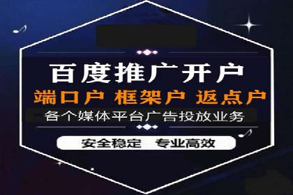 某电商平台的SEM广告投放策略及效果评估